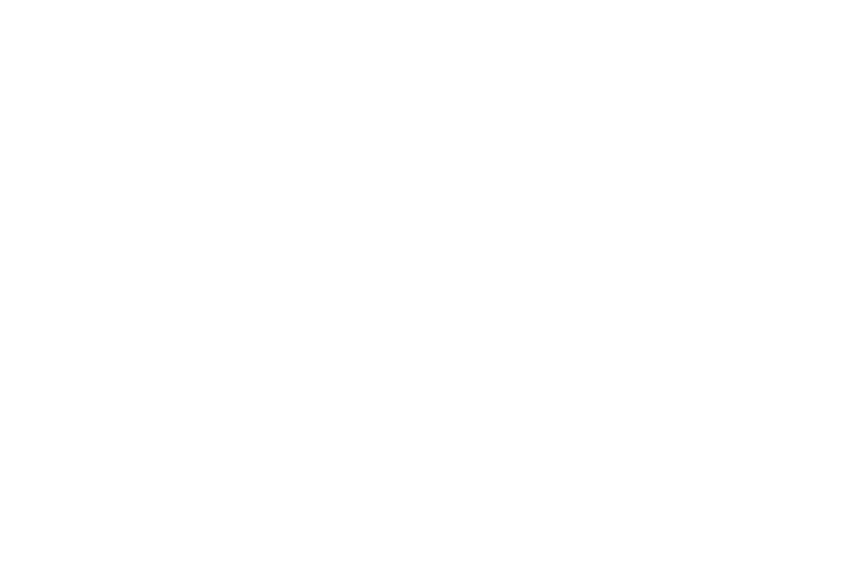 International Experimental Film Festival Official Selection